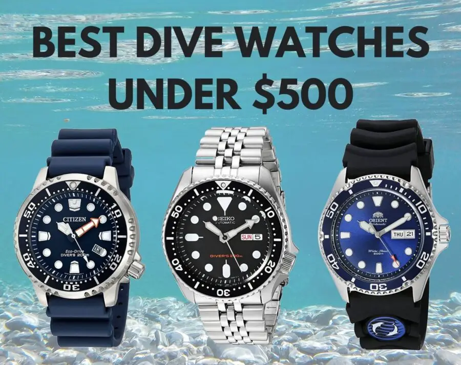 10 Best Dive Watches Under $500 In 2021: Seiko, Orient, Lorier More ...